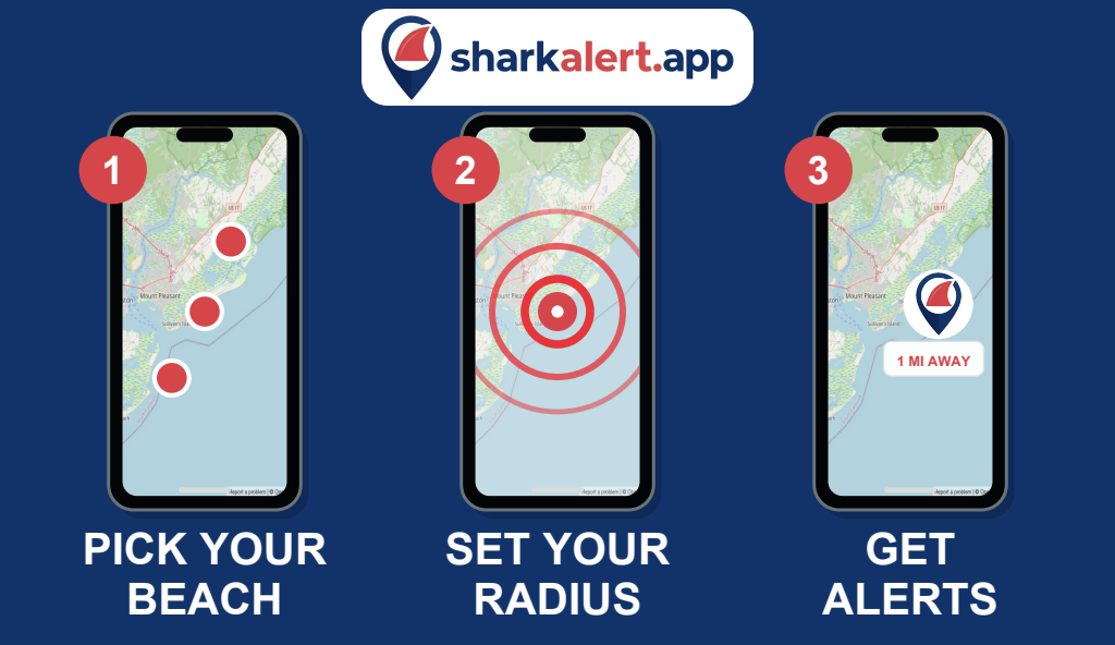 How Shark Alert works in three steps: 1. Pick your beach. 2. Set your radius. 3. Get alerts.